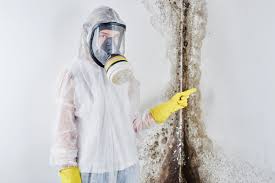 Environmental Consulting for Mold Prevention in Eufaula, AL